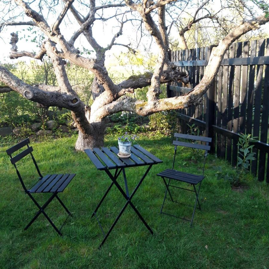 Pegasus Bed & Breakfast Hillerød Εξωτερικό φωτογραφία