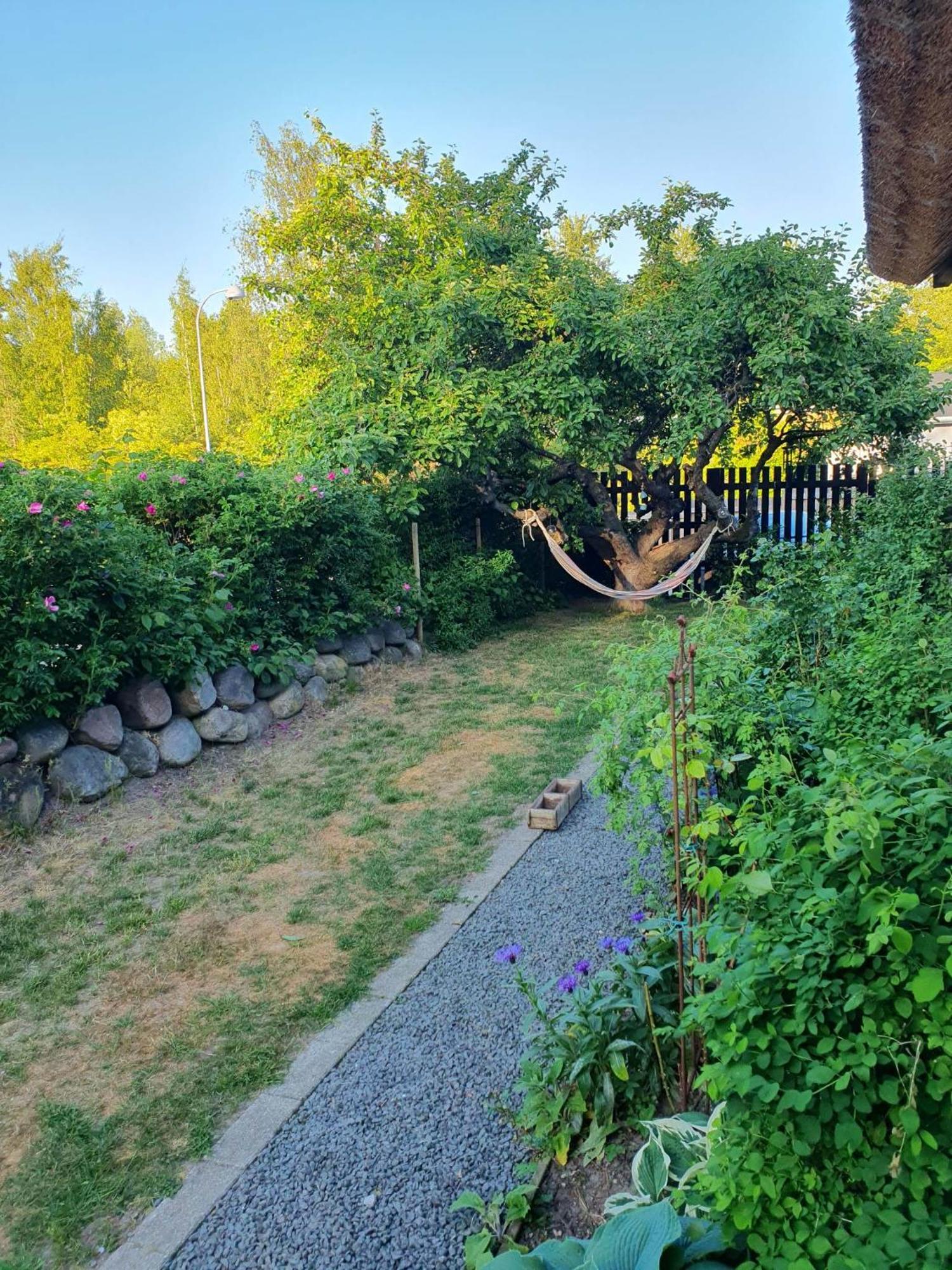 Pegasus Bed & Breakfast Hillerød Εξωτερικό φωτογραφία